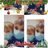 madrigal_m